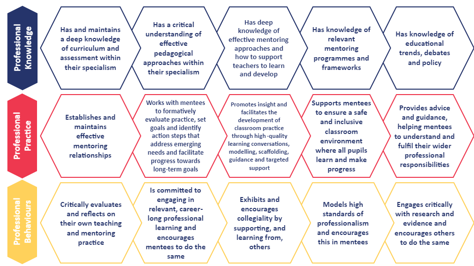 15 Professional Principles for mentors. These Professional Principles are organised into three categories: professional Knowledge, Professional Practice and Professional Behaviours.